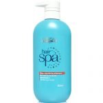 Dầu gội Loreal Hair Spa Deep Nourishing Shampoo - 600ml, chính hãng
