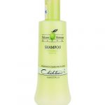 Dầu gội Chihtsai Volume Moisture Olive Shampoo - 500ml, chính hãng