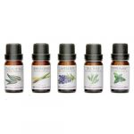 Tinh dầu Rio ESOL – 10ml, chính hãng